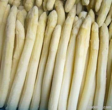 Frozen white / green asparagus/ IQF vegetable