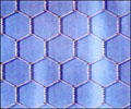 HEXAGONAL WIRE MESH