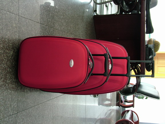 luggage/travelling bags