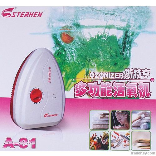 NEW Food Ozone Generator Water Air Sterilizer Ozonizer