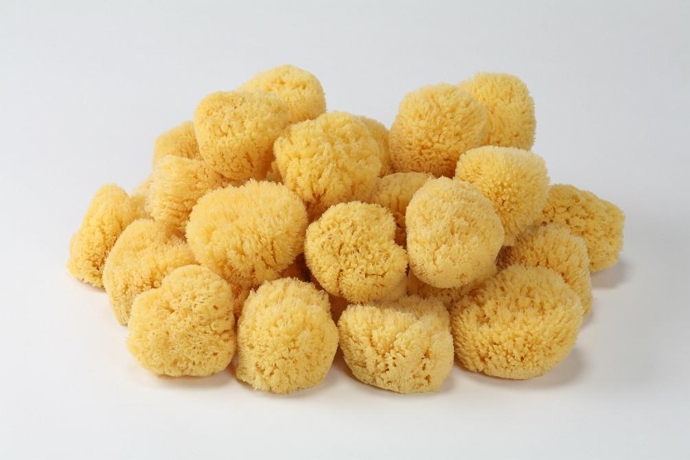 Natural Sea Sponge