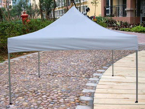 Folding gazebo (FTA33)