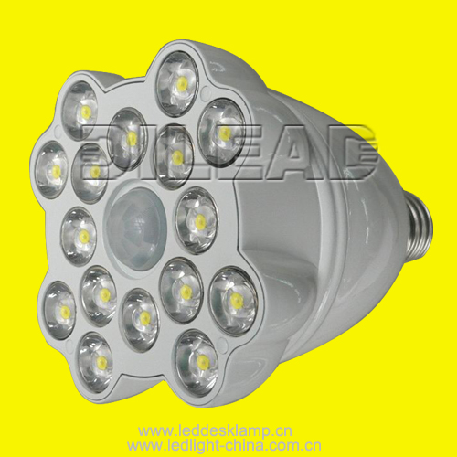 LED Motion Sensor Light