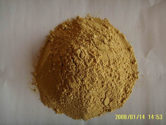 Ginger Powder