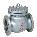 Swing Check valve