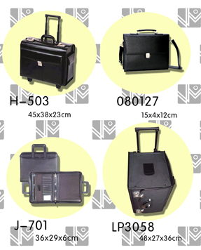 pilot cases , briefcases , portfolios