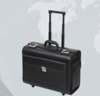 pilot cases