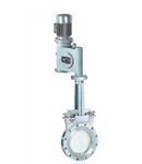 API Gate  Valve
