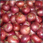 onion