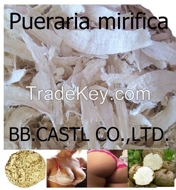 Pueraria mirifica, Thai Kudzu root, white kwao krua krao