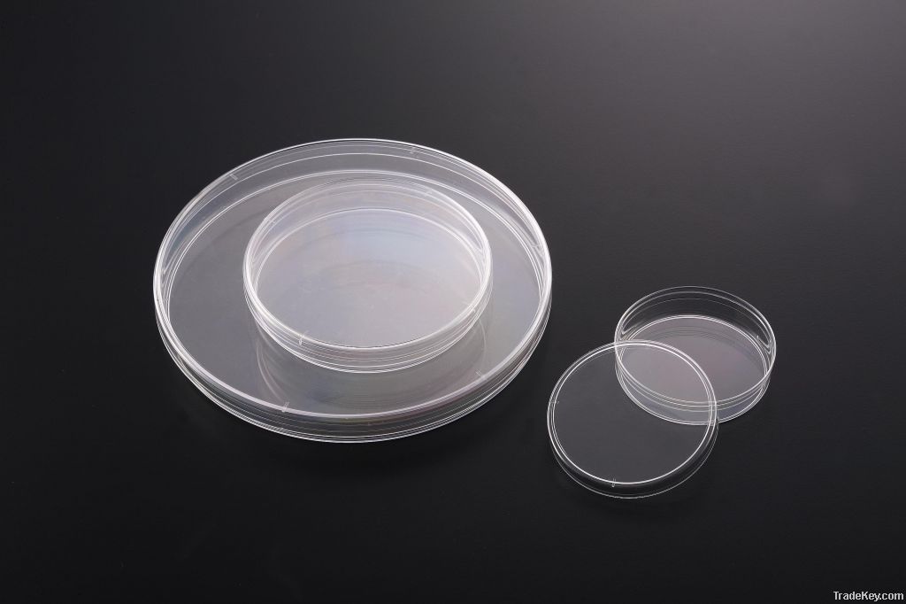 petri dishes