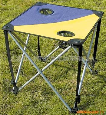 Camping/Garden Table