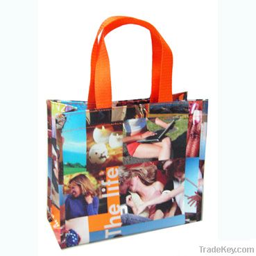 PP non woven bag