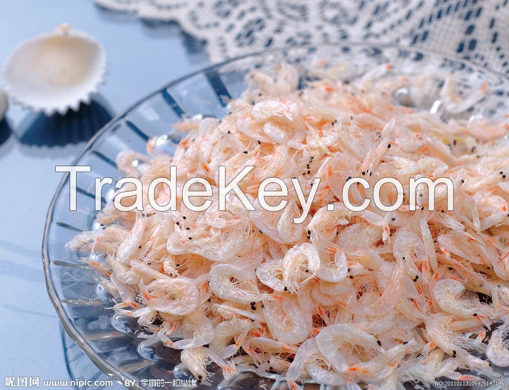 Dried Tiny Shrimp