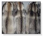 raccoon skins