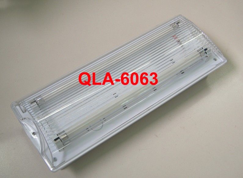 8W Emergency lighting