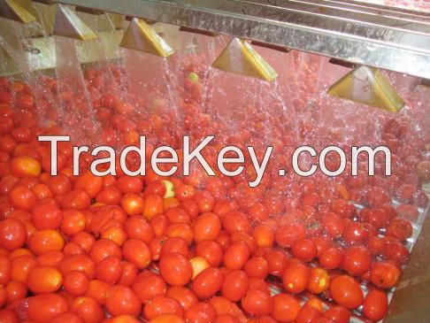 Turnkey Industrial Tomato ketchup/paste/paste Processing Line/machinery