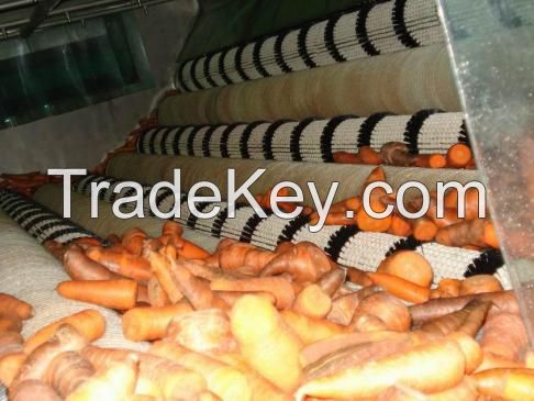 Turnkey Industrial Carrot Juice Processing Machine/line