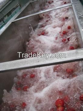 Turnkey Industrial Strawberry Juice Processing Line