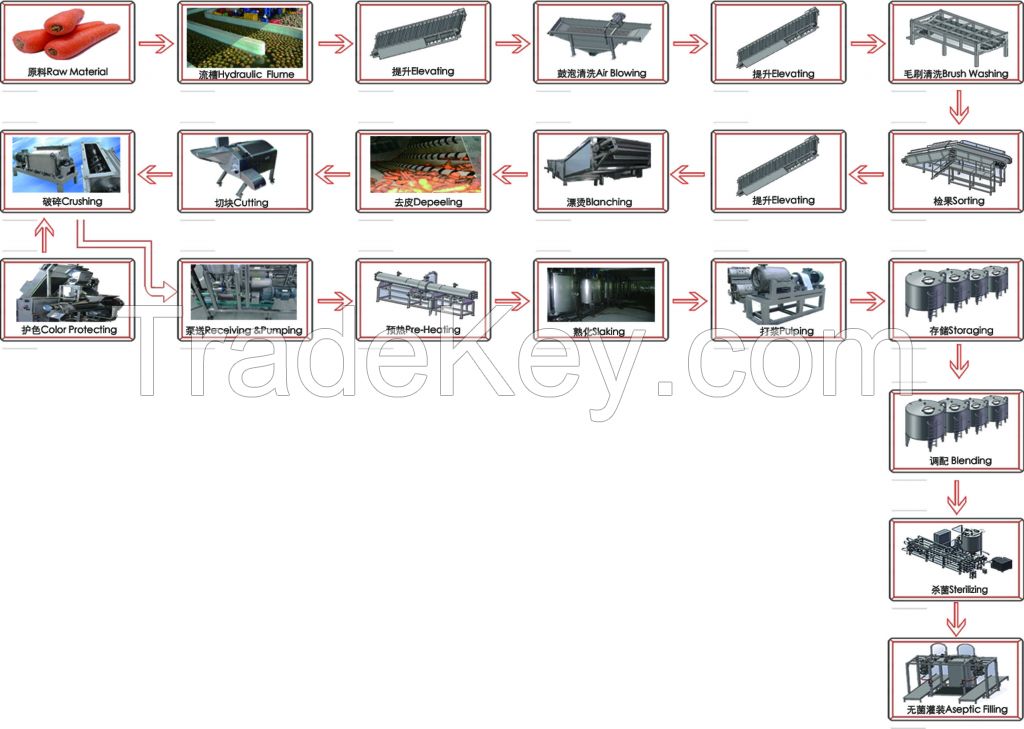 Turnkey Industrial Carrot Juice Processing Machine/line