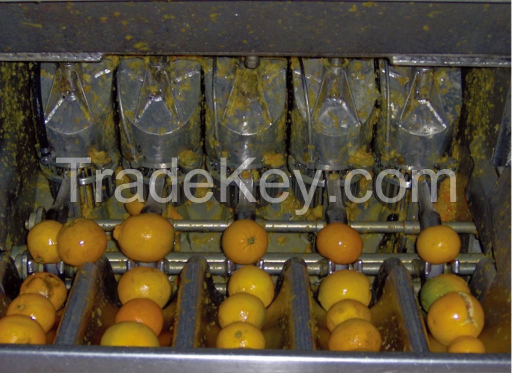 Industrial Orange Juicer/apple juicer/citrus press/fruit press