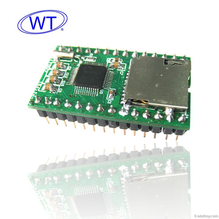 Embedded Audio Module