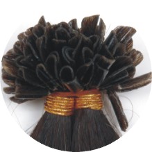 Human Hair Extension