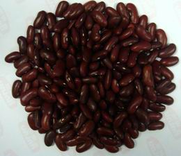 Dark Red Kidney Beans