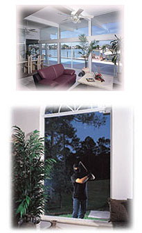 Window Film