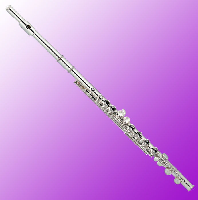 Flute 16 Holes With E Mechanism