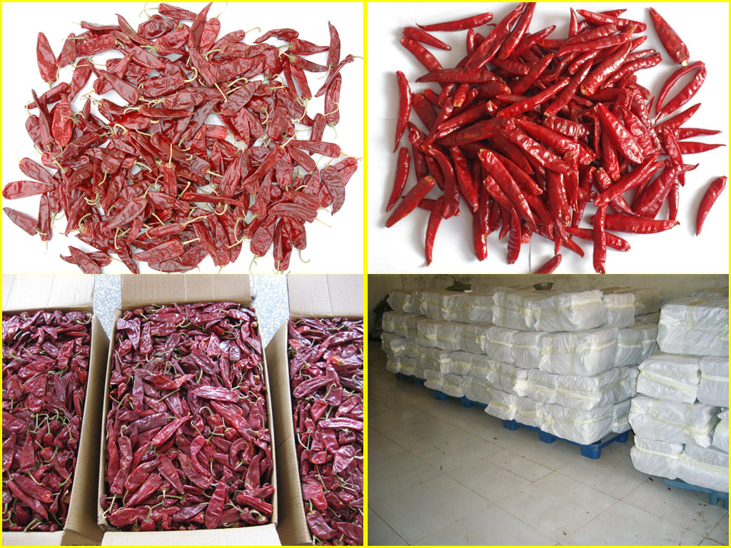 Dried Chili