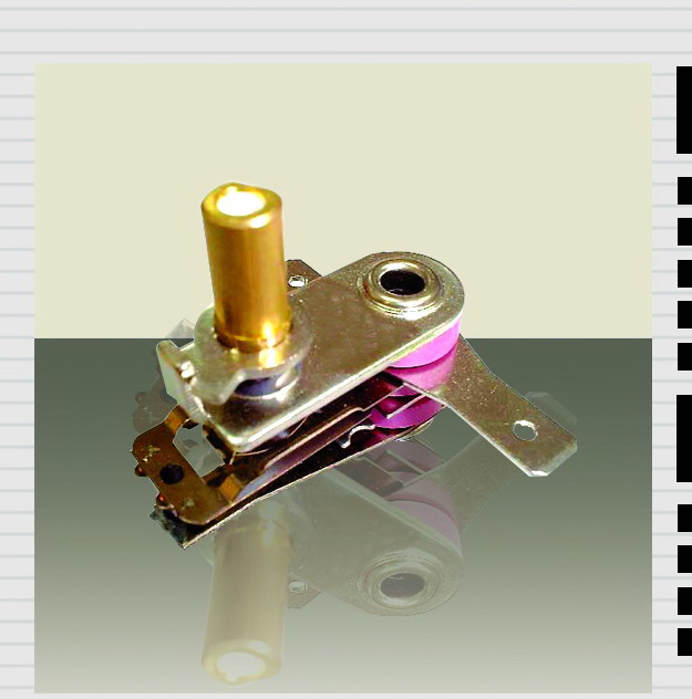 Adjustable Bimetallic Thermostat