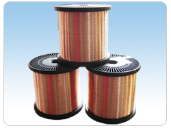 Copper Clad Steel Wire (CCS)