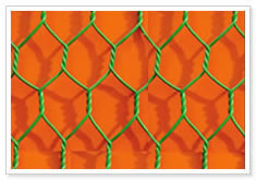 Hexagonal Wire Netting