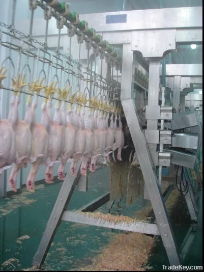 poultry equipment