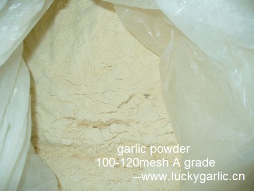 garlic powder