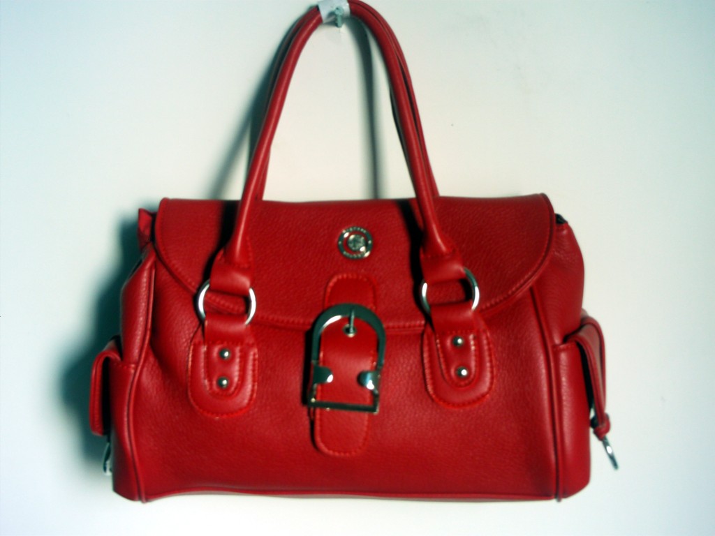 fashion woman bag