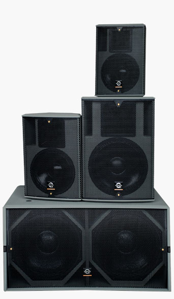 Professional loudspeaker/subwoofer/pro audio/speaker system