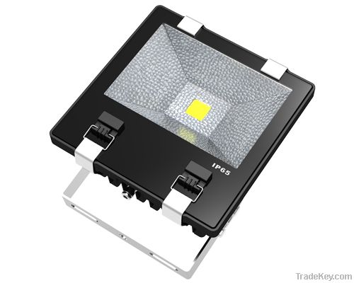 Led Flood Light