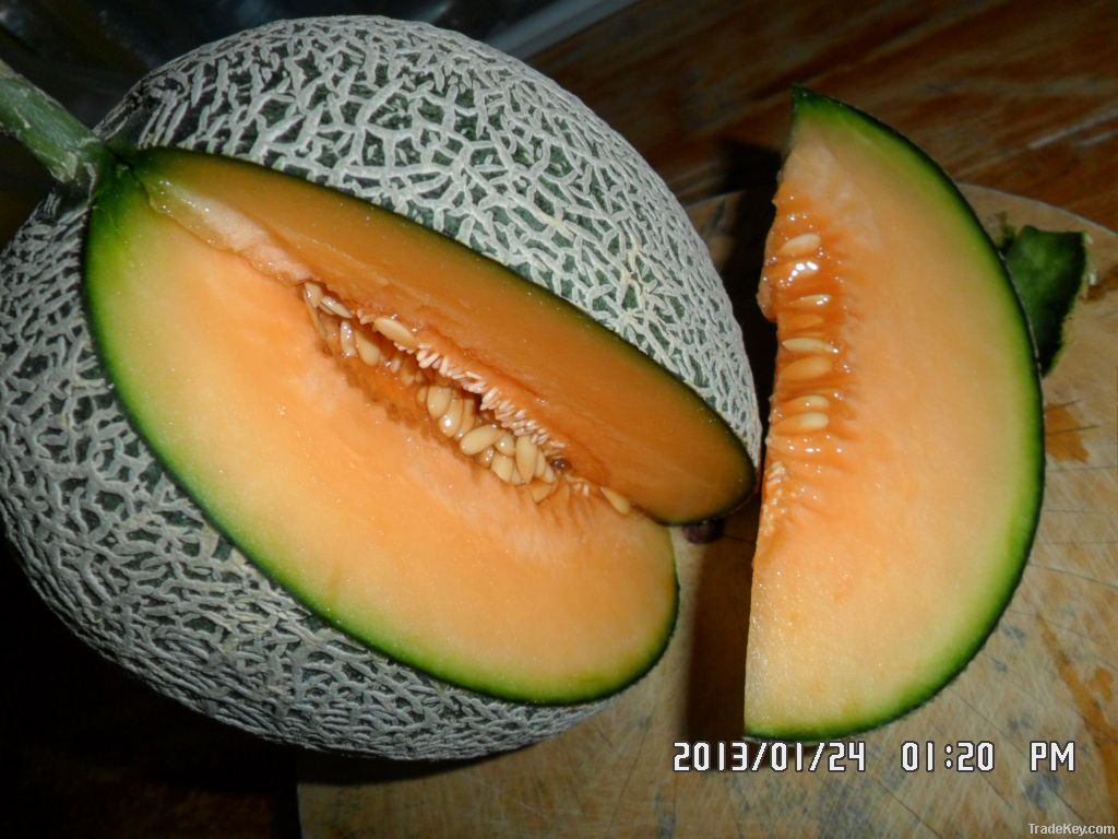 muskmelon