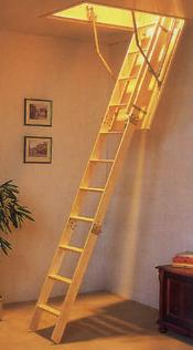 Telescopic Ladder