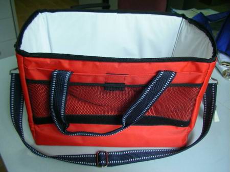 Cooler bag