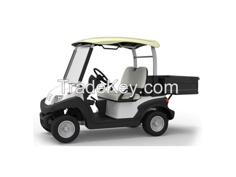 2 seater golf carts golf buggies fashion outlooking with quality steel cargo box