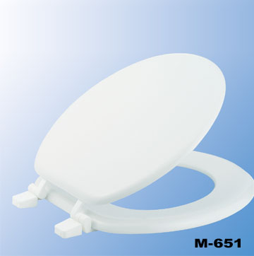 Molded Toilet Seat