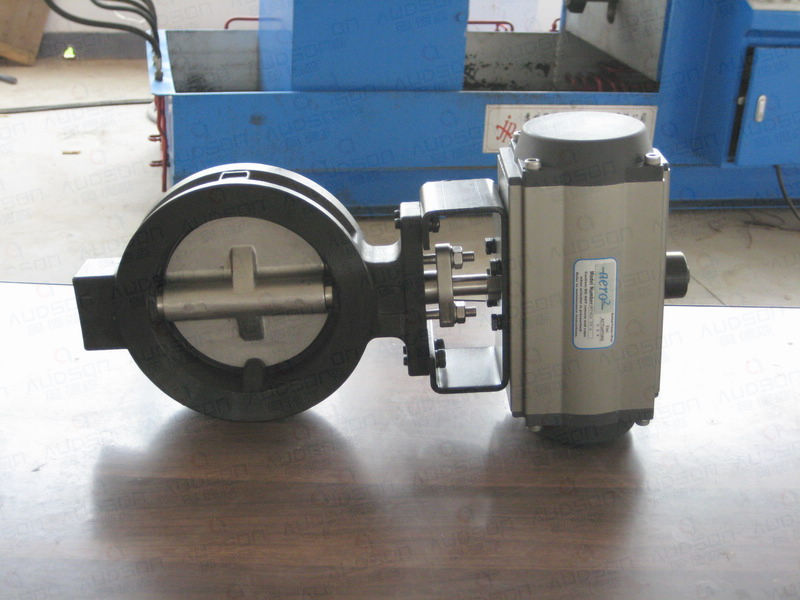 Butterfly Valve