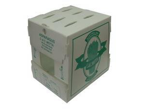 Plastic Packing Box