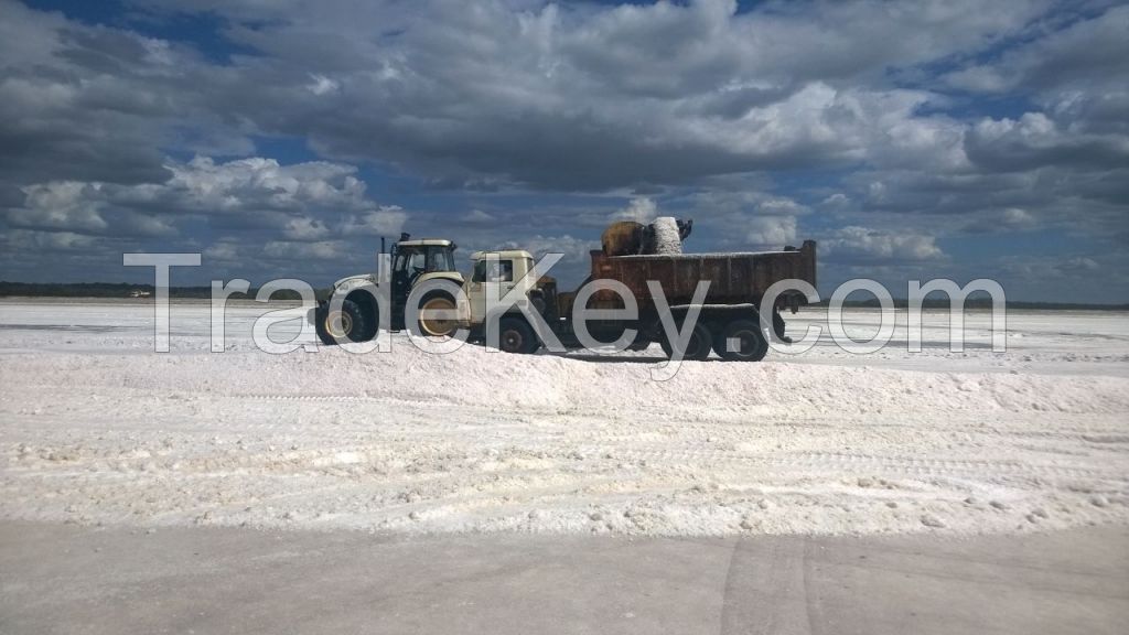 Marine Salt