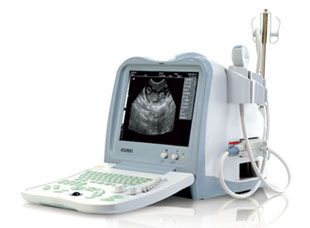 Vet Ultrasound Scanner (KX2600, 09 edition)