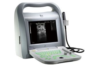 Full Digital Vet Ultrasound Scanner (KX5500V, 11 edition)