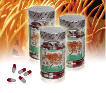 Cordyceps militaris extract Capsule